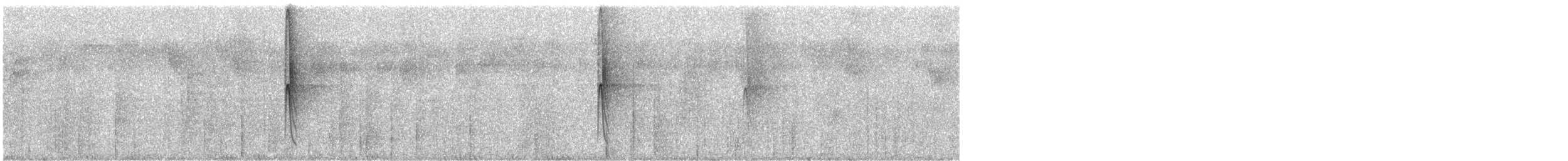 Пилоклювый колибри-отшельник - ML293165