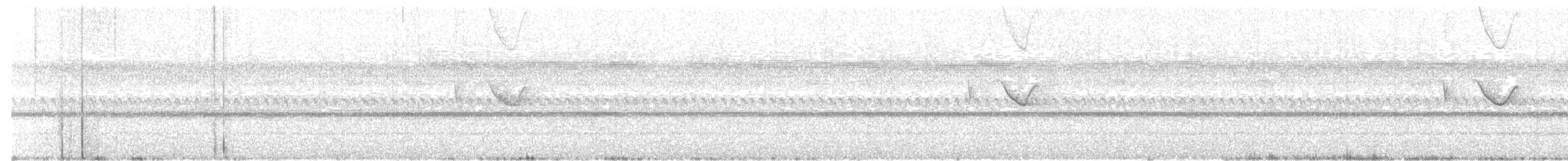 Spot-tailed Nightjar - ML29317301