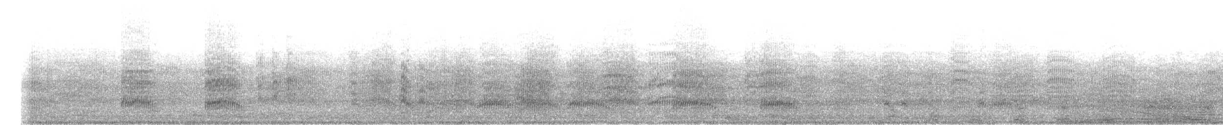 Mouette argentée (novaehollandiae/forsteri) - ML293210941