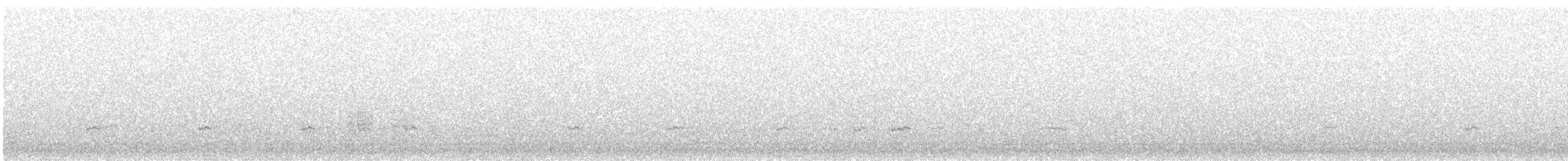 Green-winged Teal - ML293241961