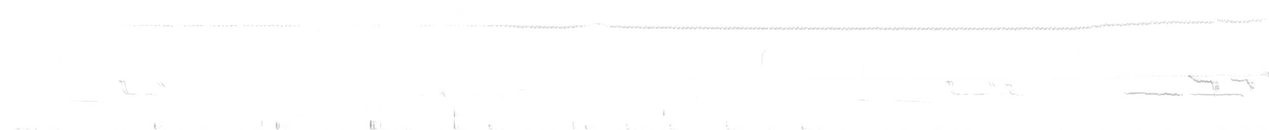 Белобровая овсянка (leucophrys) - ML293319161