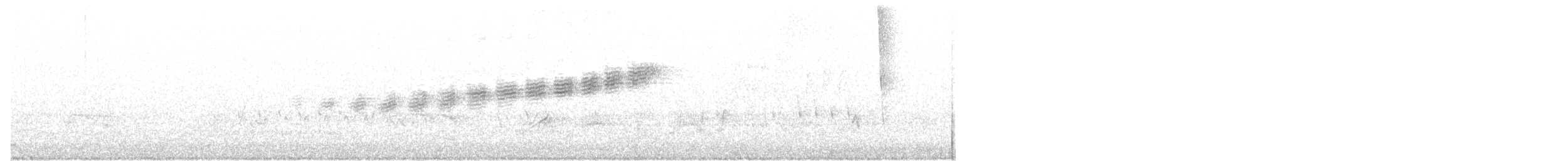 Prairie Warbler - ML29335991