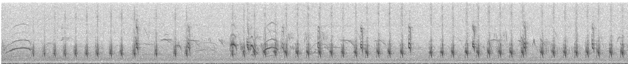 serramaursmett (littoralis) - ML293386