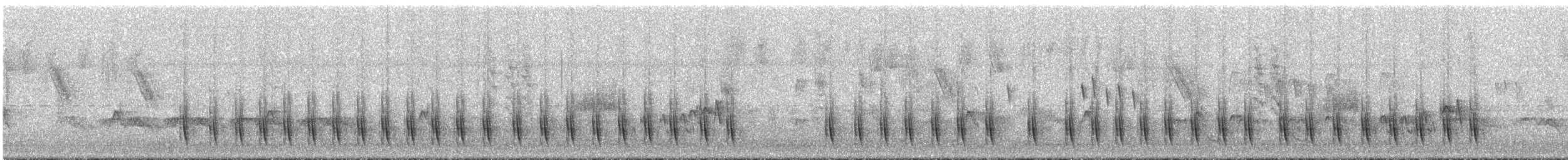 serramaursmett (littoralis) - ML293397