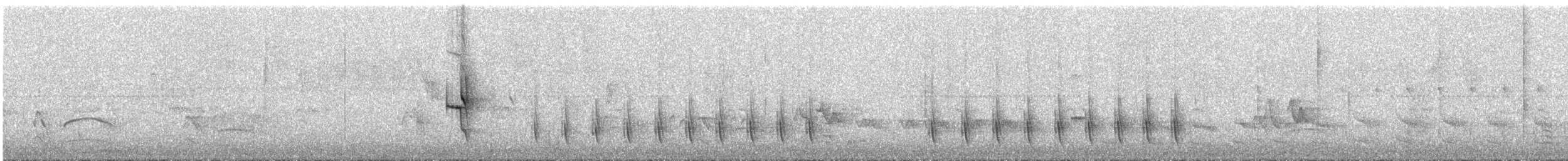 serramaursmett (littoralis) - ML293412