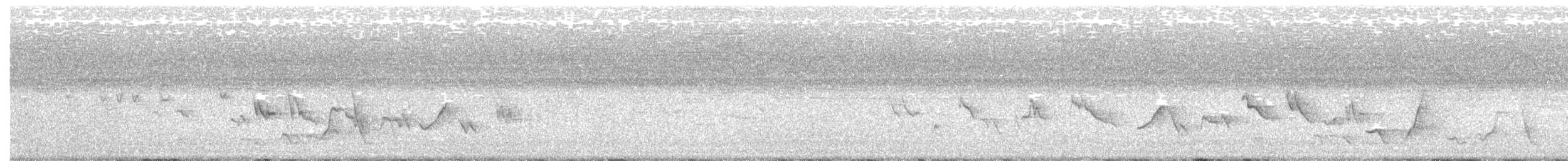 Окулярник сумбейський - ML293463011