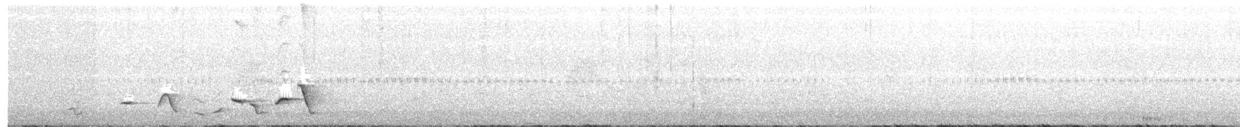 Black-tailed Whistler - ML293463021