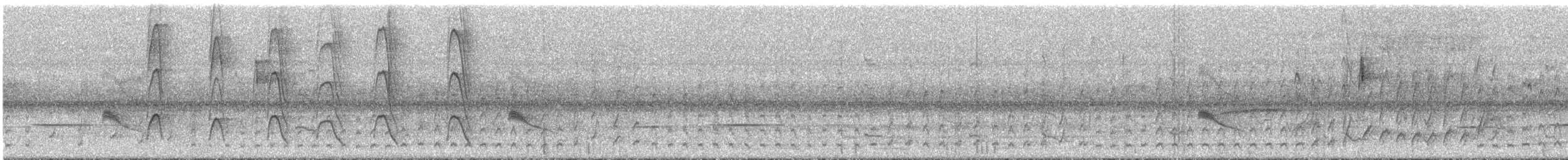 rustpannetornfugl (rufifrons gr.) - ML293474