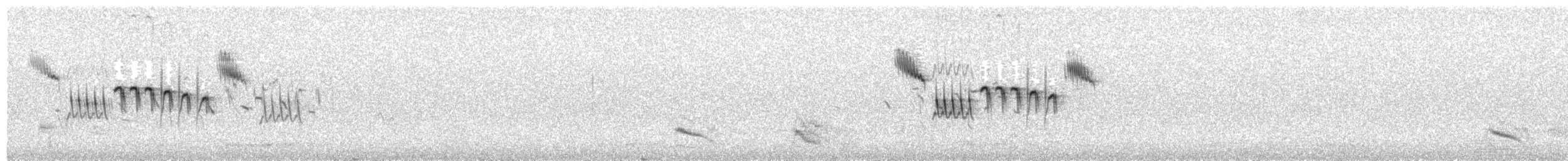 Acentor de Radde (ocularis) - ML293500021