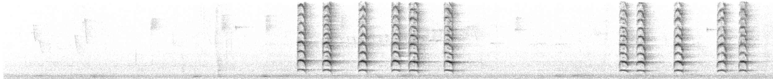 Chara Cerúlea - ML293511321