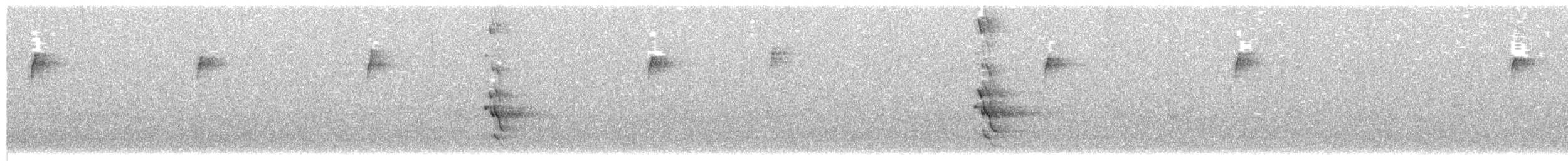 Pic flamboyant - ML293517251
