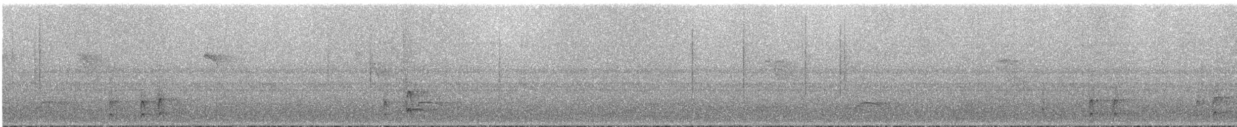 Shear-tailed Gray Tyrant - ML293646