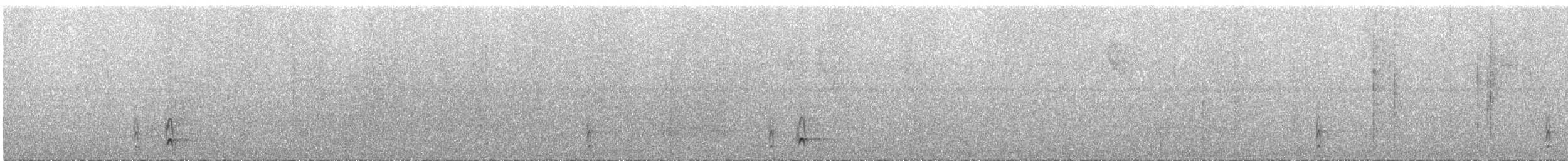 Shear-tailed Gray Tyrant - ML293647