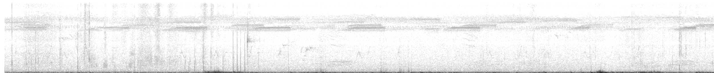 Südsee-Sumpfhuhn - ML293721781