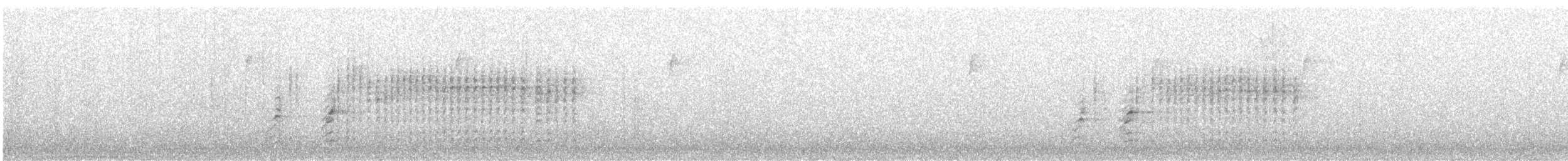 チャバラマユミソサザイ - ML293757481