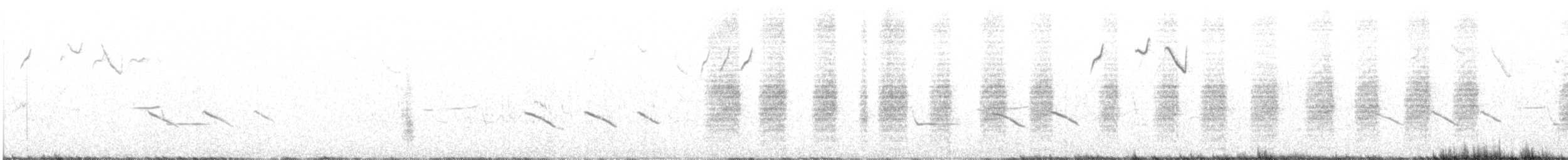 Red-tailed Shrike - ML293808031