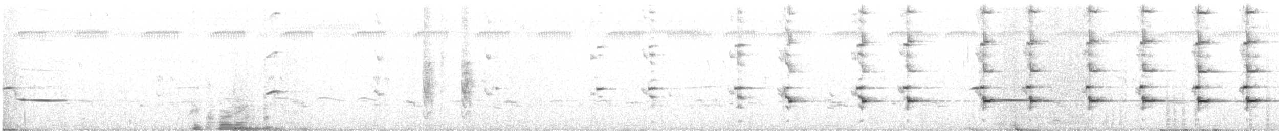 Gonolek à croupion rose - ML293812011
