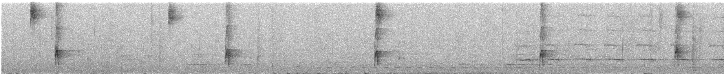 White-spotted Woodpecker - ML293912