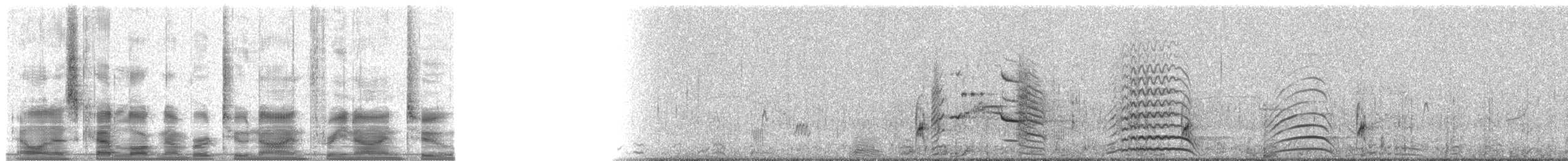 ørkenmåke - ML29392