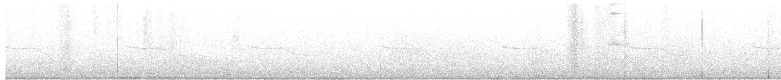Breitspiegel-Nachtschwalbe - ML293939821