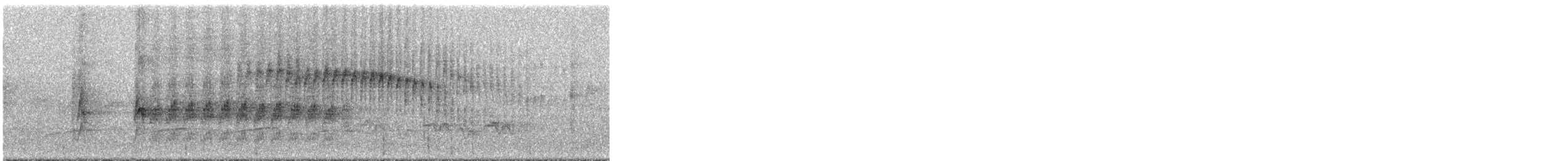 White-spotted Woodpecker - ML293960