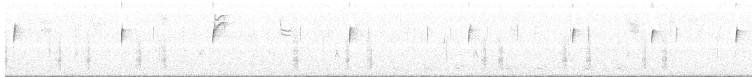 Northern House Wren - ML293984721