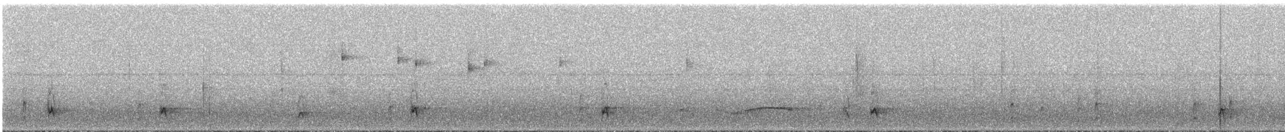 Shear-tailed Gray Tyrant - ML294085