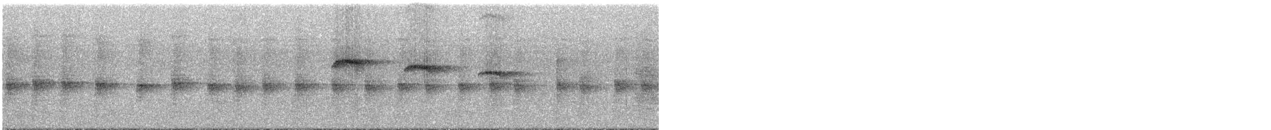 Пилоклювый колибри-отшельник - ML294152
