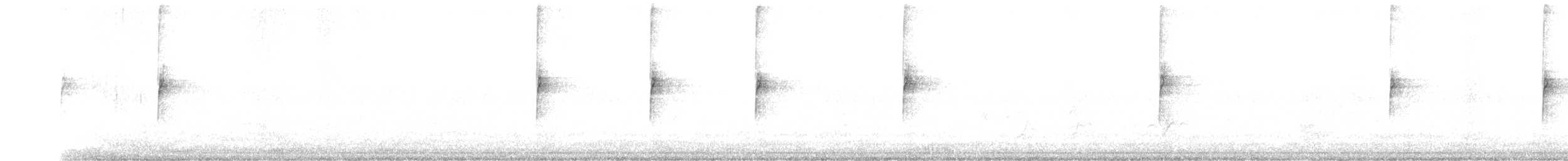 strnadec bělopásý - ML294159151