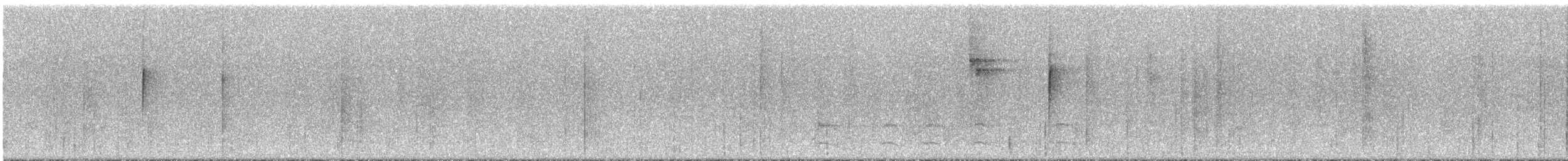 Whiskered Flycatcher - ML294178