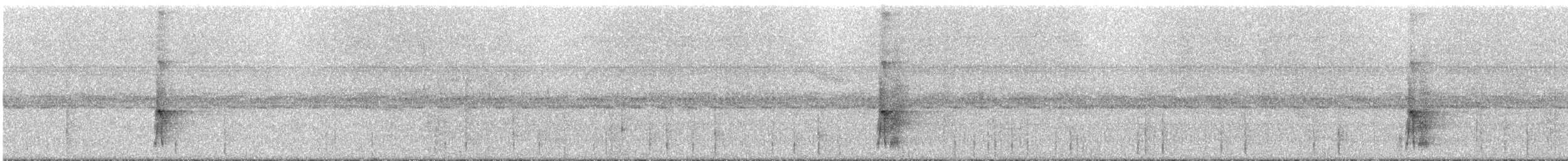 White-spotted Woodpecker - ML294179