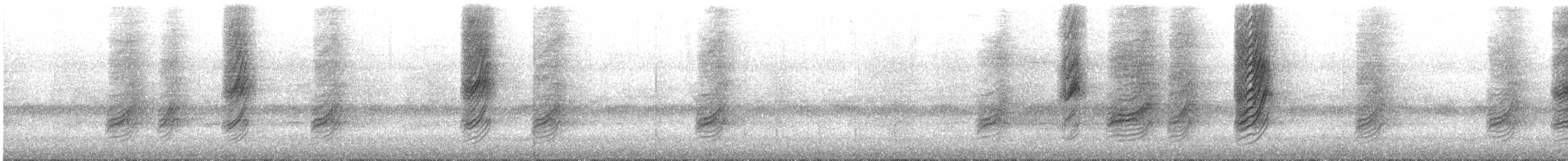asurskjære (cyanus gr.) - ML294249941