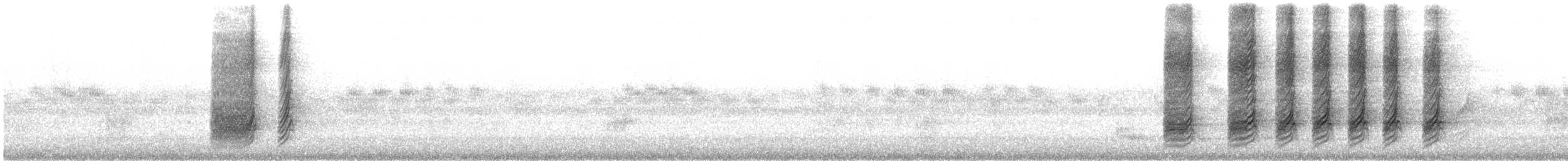 asurskjære (cyanus gr.) - ML294250201