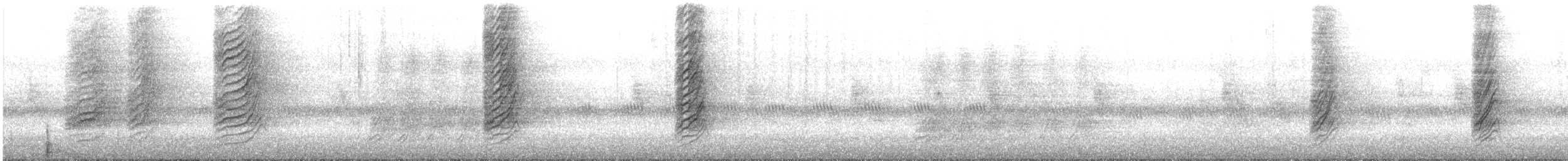 asurskjære (cyanus gr.) - ML294250811