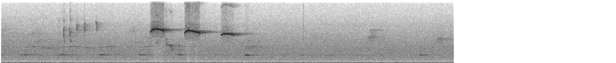 Пилоклювый колибри-отшельник - ML294307