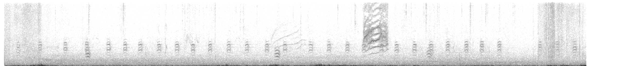 Trepador Pechiblanco (carolinensis) - ML294309201