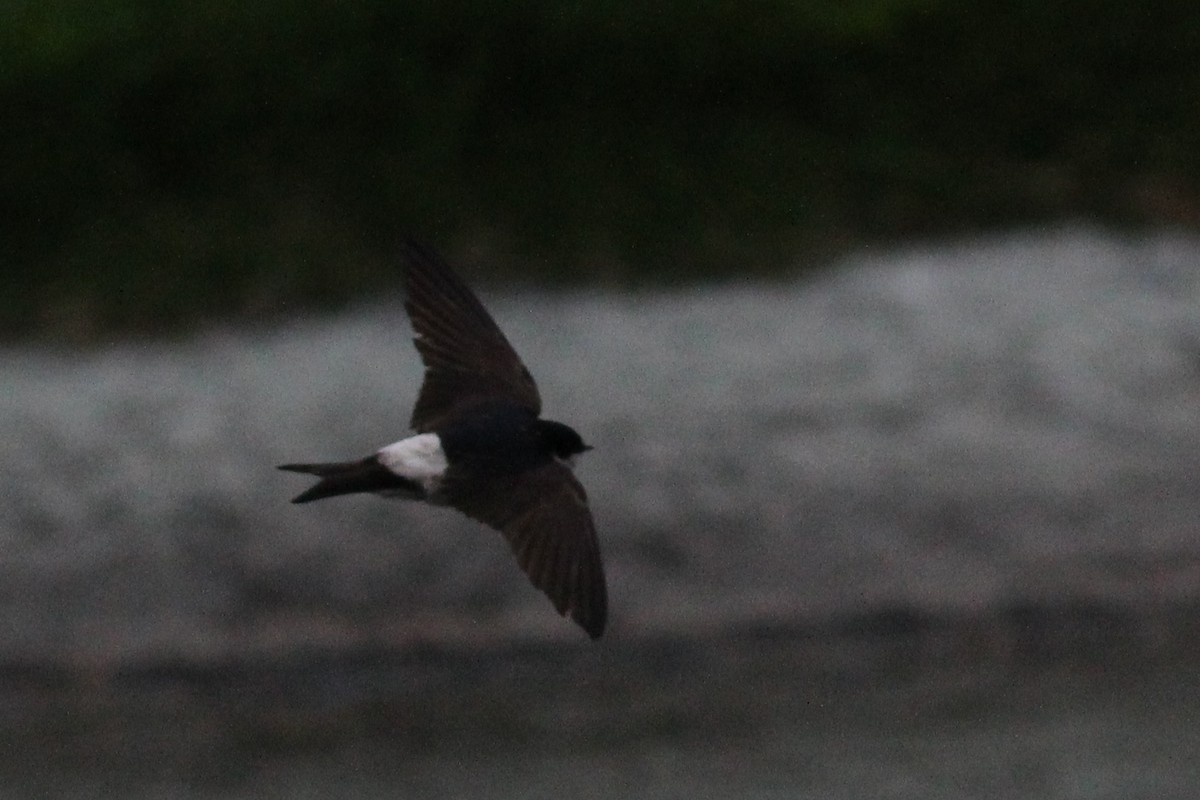 Western House-Martin - Ingvar Atli Sigurðsson
