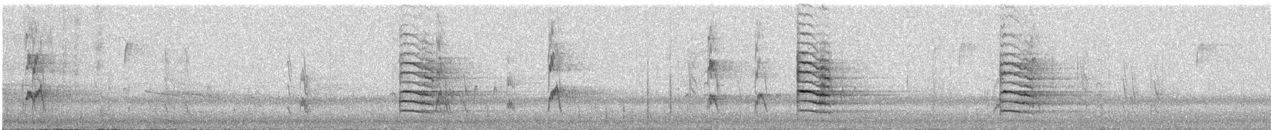 Red-cockaded Woodpecker - ML294501061