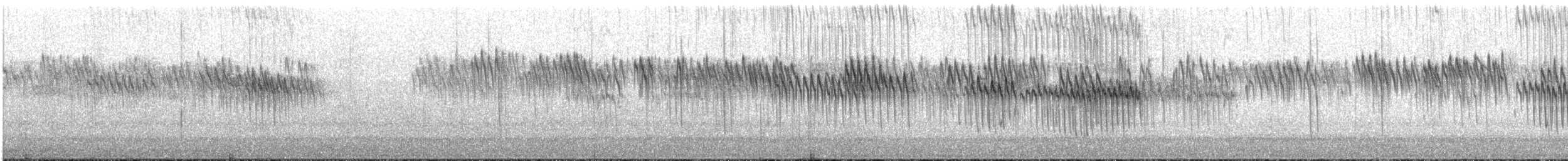 sidensvans - ML294571891