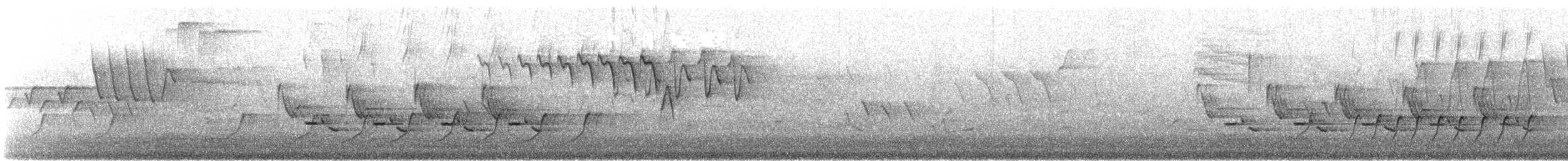 Поплітник каролінський - ML29459241
