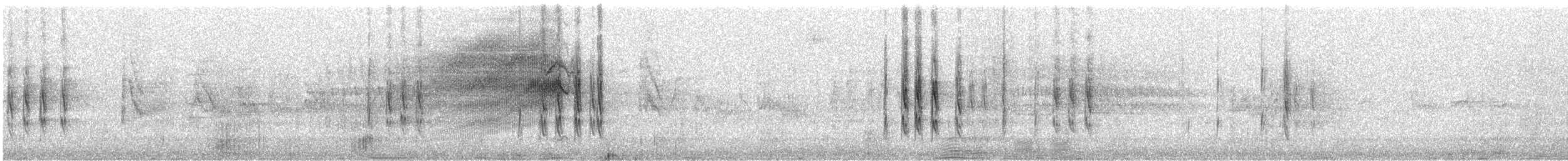 Pine Siskin - ML294605581