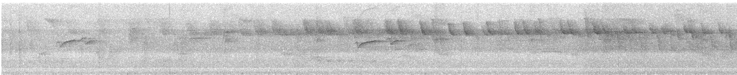 Котингіта жовтогорла (підвид leucopygia) - ML294759521