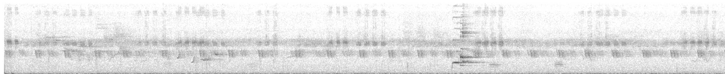 Témia de Swinhoe - ML294760291