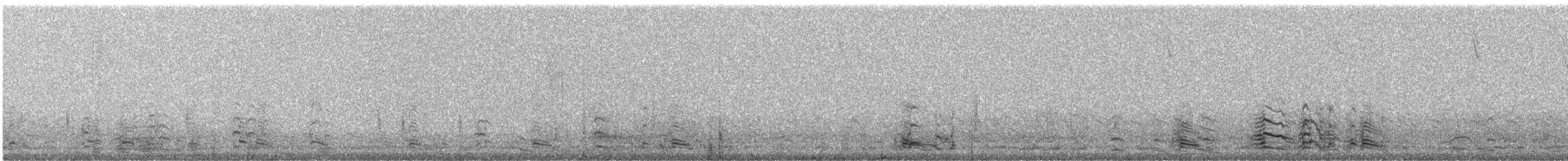 Snow Goose - ML294761341