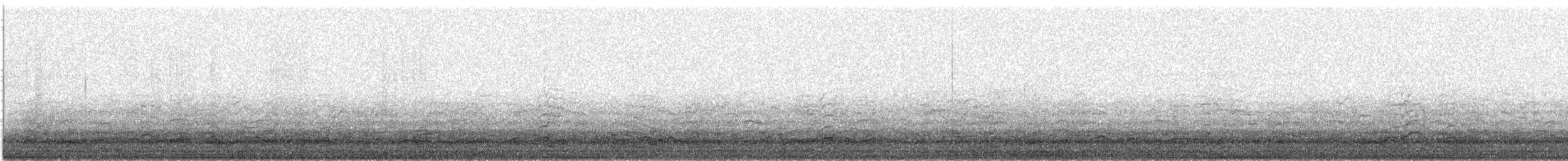 ハクガン - ML294779011