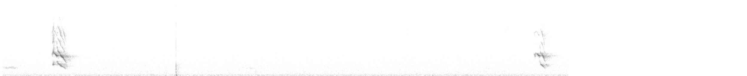 Шилоклювый дятел (luteus x cafer) - ML294793801