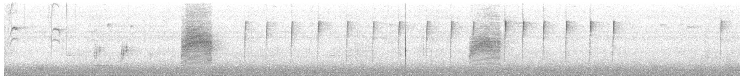 Bewick's Wren - ML294840521
