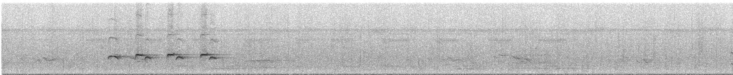 Willis's Antbird - ML294908