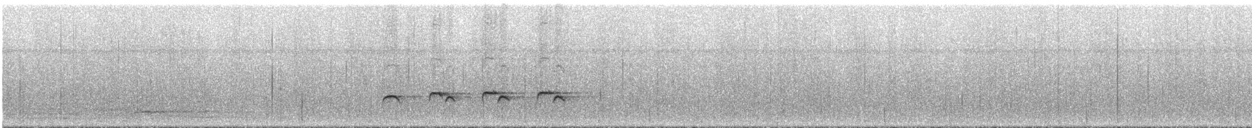 Willis's Antbird - ML294909