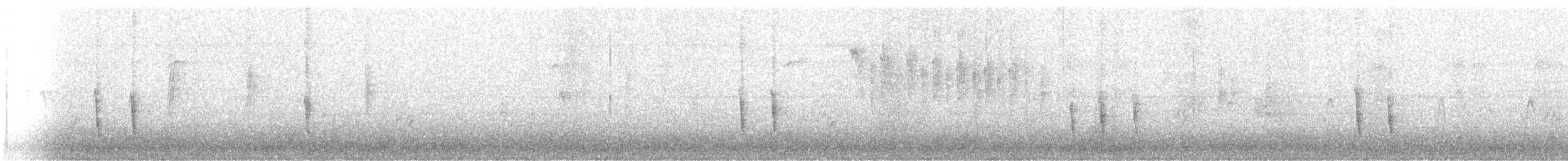 Дрізд-короткодзьоб плямистоволий - ML294909341